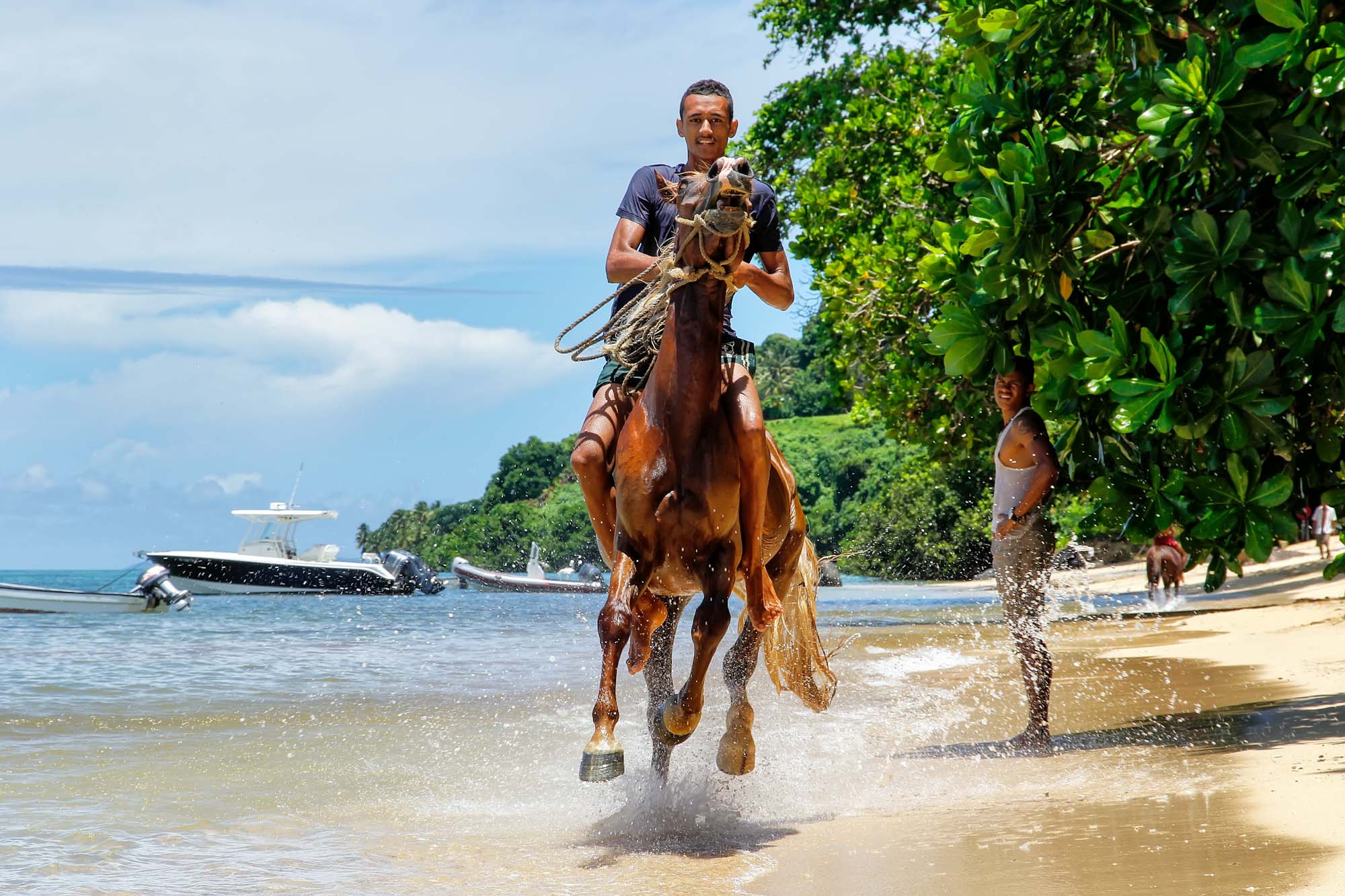 Horseriding on Taveuni